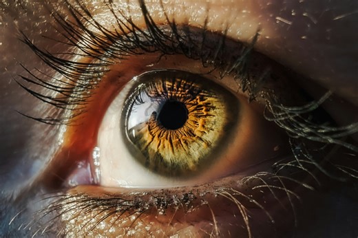 Das (gar nicht) perfekte Auge