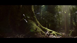 We can't wait to welcome you back to Center Parcs Longford Forest from 13 July 2020. Find out more here >> https://bit.ly/CenterParcsIrelandAnnouncement | Center Parcs Ireland