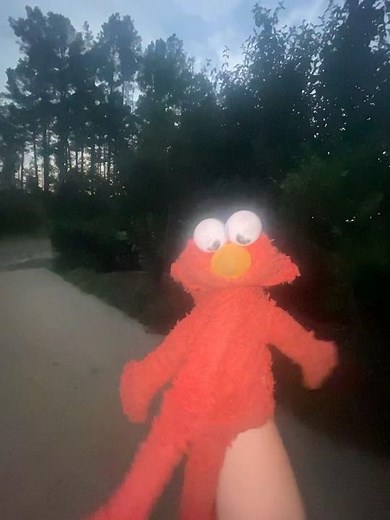 elmo world food quiz