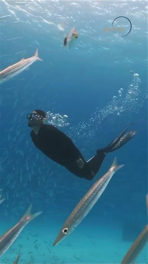 Breitling India and Rohan Shrestha Dive Deep with the Superocean Heritage