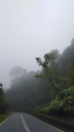 The mist came down as low as the second carpark and this doesn't happen often. The temperature was perfect yesterday. #langkawi #gunungraya #gunungrayalangkawi #wendynatureguide #langkawibirdwatching #langkawimoment #langkawinatureguide | Langkawi Nature Guide