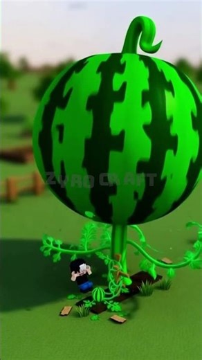 #4 Zyro Watermelon Farming