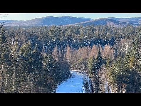 Tracking Bucks in NH 2025 (Part 2 of 3)