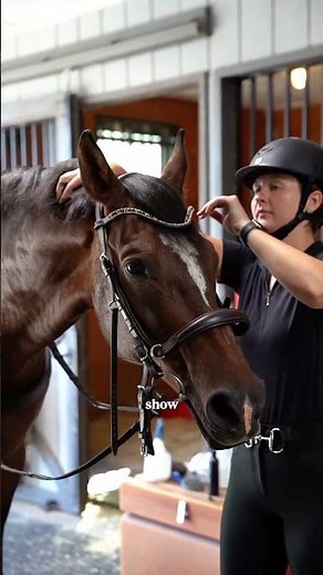 One bridle. Four ways to ride.