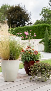 Pots en terre cuite, en vannerie ou en plastique recyclé : il y en a pour tous les goûts ! On vous aide à choisir le style qui fera sensation sur la terrasse cet été 🌞 Quel est votre style préféré ? 👀 Pour plus de choix et de détails, c’est ici que ça se passe 👉 https://www.botanic.com/s-inspirer/autour-de-l-amenagement-exterieur.html | botanic®