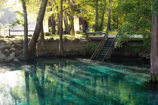 16 of Florida's Best Springs for Swimming, Kayaking, and Wildlife Spotting