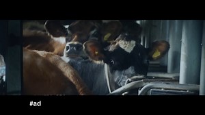 1K reactions · 209 shares | Every animal deserves our kindness, and the Gogglebox cast agrees  We are connected to millions of animals in our lives, whether we realise it or not. From those living in our homes rent-free to those on farms and in labs, they all matter. Find out more: https://bit.ly/3JfnjSy | RSPCA (England & Wales) | Facebook