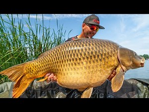 FEEDERMANIA - Methodos nagyponty horgászat az RSD-én. Flat method fishing with big carps.