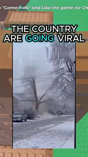 Trees Are Literally Exploding in This Winter Storm...