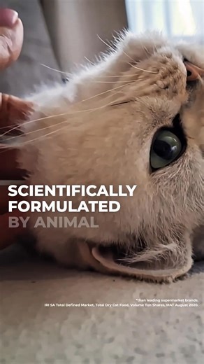 32K views | Feline Cuisine assists in maintaining your cat’s urinary tract healthy while providing 30% more protein in cat food made with fresh meat. | Checkers | Facebook