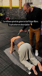 Le réflexe de Galant,et de Pulgar Marx, qu'est ce que c'est ? Le réflexe de Galant d’abord : C’est un réflexe archaïque qui apparaît dès la vie intra-utérine (dans le ventre de la mère). On peut l’observer ensuite chez le nourrisson :�Quand on stimule doucement un côté de son dos, il y a une flexion du tronc de ce coté la . Ce réflexe aide le bébé à bouger dans l’utérus, puis à sortir du ventre de la mère. Ce réflexe permettra aussi de renforcer les muscles du tronc, et de mettre en place certai