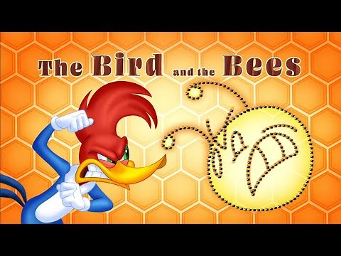 Woody Woodpecker | The Bird and the Bees | Full Episodes