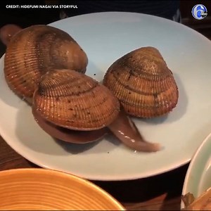 627K views · 2.4K reactions | CLAMS ON THE MOVE: Imagine being at a nice restaurant, ordering the seafood special and then watching your clams move around on the plate. https://6abc.cm/2WEbaRb | 6abc Action News | Facebook