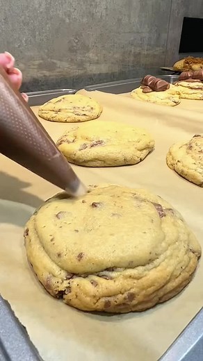 Exploring Reddit Stories About the Plump Frog