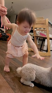 2M views · 86K reactions | Tôi tức quá mà 8g30 tối vào giường mà khóc không ngừng Tôi hát, tôi cho nghe nhạc, tôi cho ra ngoài chơi nhưng vào phòng là lại khóc to hơn …hỏi tới hỏi hồi hoá ra thích chơi với Chó May sao nhà hàng xóm MinhMin có chó chứ không người mẹ này cũng không biết sao Không được để vụ này chìm xuống các bác ạ! | Salim | Facebook