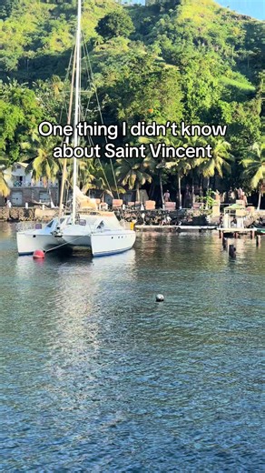 One thing I didn’t realize about Saint Vincent is that Pirates of the Caribbean: The Curse of the Black Pearl was filmed here. During my stay at Sandals Saint Vincent, I took an excursion to see the filming location, and yes, you can still see memorabilia, remaining props, and even visit the iconic spot where Captain Jack Sparrow made his dramatic jump. As if I wasn’t already in love enough with this island. Saint Vincent is one of the most unique Caribbean destinations. Lush mountains, dramatic
