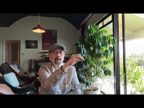 龙应台就是巴普洛夫的那条狗：刨一下左翼文人、姿势分子们的祖坟，以及这些人为什么把脑子扔掉，换成条件反射的原因｜村上春树｜萨特｜文艺复兴｜伊朗｜神权政府｜墙与蛋