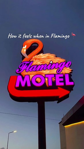 Motel Flamingo Mk on TikTok