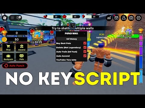 Punch Wall script – (Inf Money, Buy Best Pets) No Key🔑