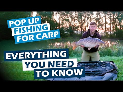 POP UP FISHING FOR CARP: WHAT YOU NEED TO KNOW | BADANGLING
