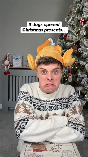 Joe Tasker on Instagram: "Dogs at Christmas…😏"