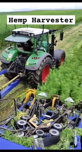 Hemp Harvester in Action || Made By CRETES-Creative Technical Solutions Belgium || #shorts