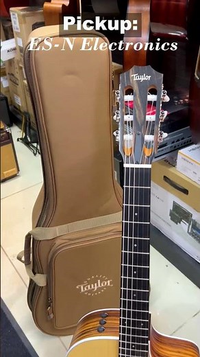 Taylor 214ce-N Nylon-String Guitar! #taylor #chennaimusicals #classicalguitarists #trending