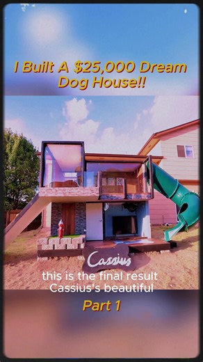 Building a Dream Dog Mansion in Five Fun Steps