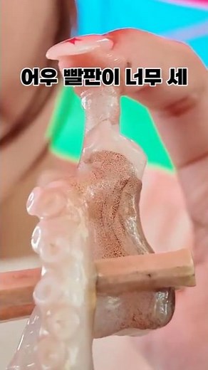 혼자 모란시장가면 안되는이유