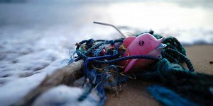 STUDY REVEALS ENVIRONMENTAL PROBLEMS CAUSED BY DISCARDED FISHING ROPES AND LINES