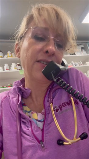 Microchips work!! A client had a cat hanging around for awhile and were finally able to bring Fred for a vet visit. We always scan for a chip. We discovered that Fred was actually Binx who had been missing for months! We were able to get the information for the registered owner and give them a call. They were relieved that Binx is alive but decided to let the new couple keep her. Microchips truly save lives, and we do it at JVC for only $25. #microchipssavelives #MicrochippingMatters #jarrettsvi