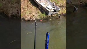 1.5K views · 29 reactions | We’ve picked our winner, but before we announce who it is, here is the weight reveal of our weekend contest. We’ll be announcing the winner later today. | Bass Mafia | Facebook