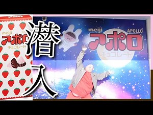 [Pre-orders are flooding in] We sneaked into the Meiji Apollo Chocolate factory and found some am...