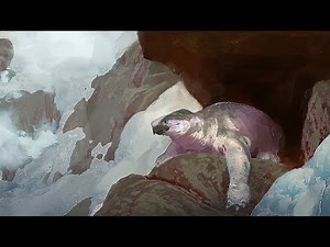 How Could Turtles Evolve to Survive the Cold?