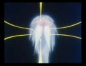 【マクロスプラス】INFORMATION_HIGH【AMV】