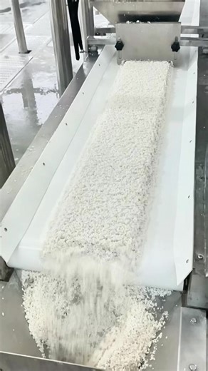 做米粉食品加工，从大米颗粒处理，将物料清洗，浸泡。For processing rice noodle food, start with handling rice grains, then clean and soak the materials. Email：yhfoodmachine@163.com ，Website： www.yhfoodmachines.com#食品机械设备 #ricenoodles #foodmachine