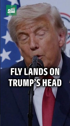 Fly lands on Trump’s head while he whines about economy
