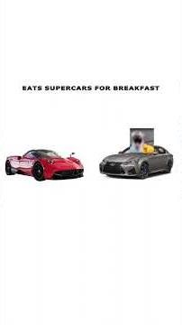 Lexus GS-F explained by cats #kitty #explained #fyp #viral