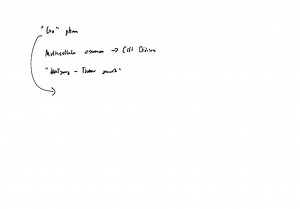 Why do you suppose cells have evolved a special Go phase to exit from the cell cycle, rather than just stopping in G1 and not moving on to S phase? | Numerade