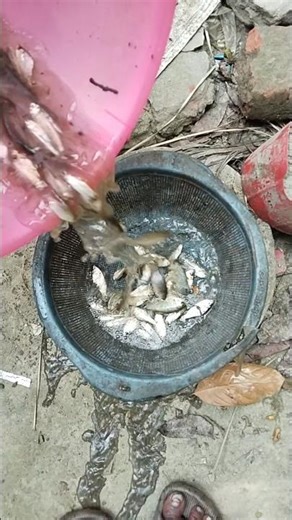 #new #fishing🐟 video #shortvideo 😲😲🐟🐟👍