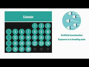 BioPRYN General Information