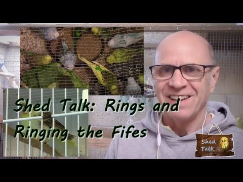 Series 4 Episode 38: Rings and Ringing the Fife Canaries
