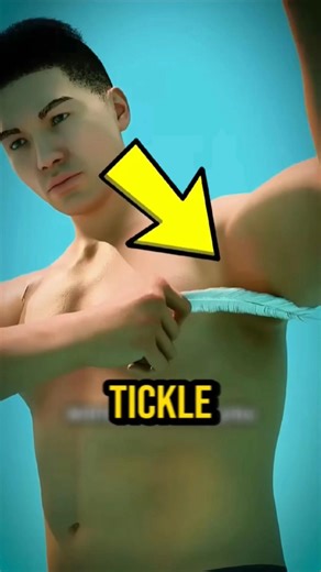 Why You Can’t Tickle Yourself (But Others Can 😳)