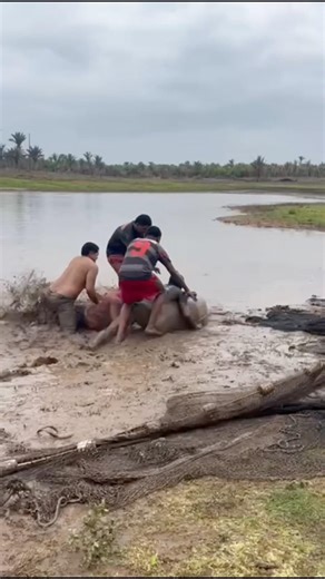 Tem o dia da caça e do caçador esse foi o dia do Peixe lkkkk 😂￼. #humor #viraliza