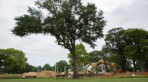 Celebrate your freedom with these Memorial Day weekend events in Jackson