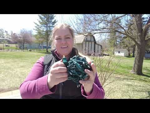 Full Tutorial: How to Professionally Light up Bushes with Mini Lights