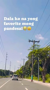 On my way to Pet Valley Crematory for Vivor_ Mayor's cremation..🦴🐕😭 | Don Emilio Vlogs