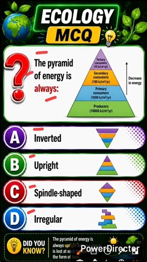 Ecology MCQ | The Pyramid of Energy Is Always? 🌱⚡ | Biology #Shorts