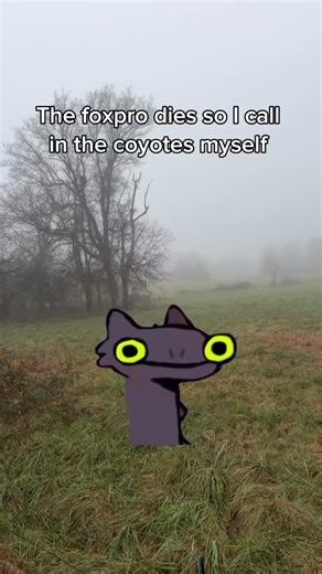 Just One Outdoors on Instagram: "Add problem solver to my resume 😏 #hunting #hunt #coyote #funny #humor"