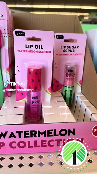 DollarTreeObsessionLV on TikTok